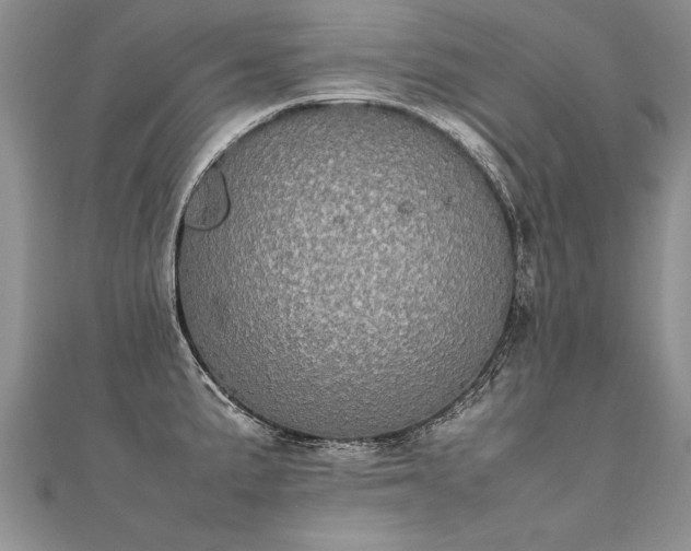 X0000112041191200908101354