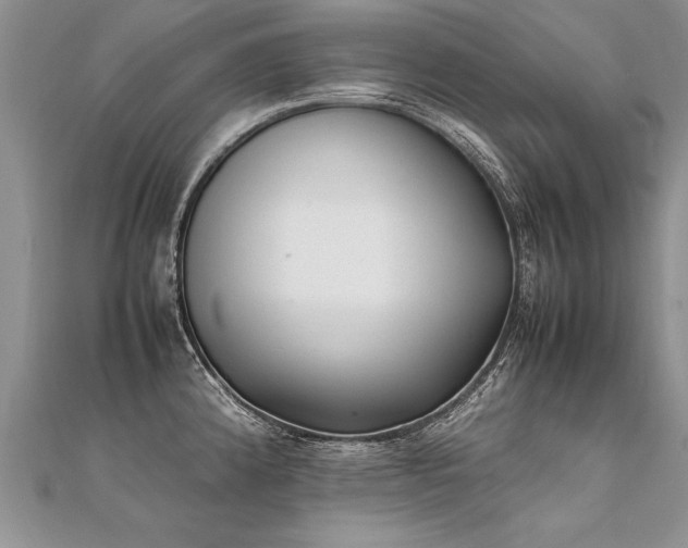 X0000112041192200908101354