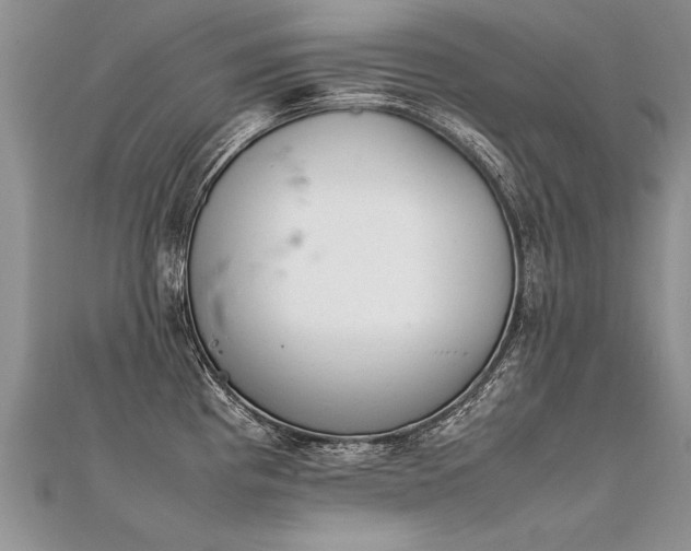 X0000112041193200908101354