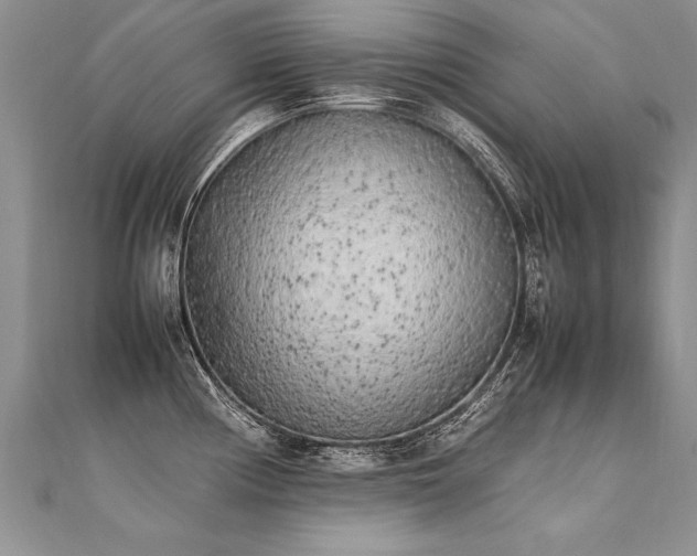 X0000112041194200908101354