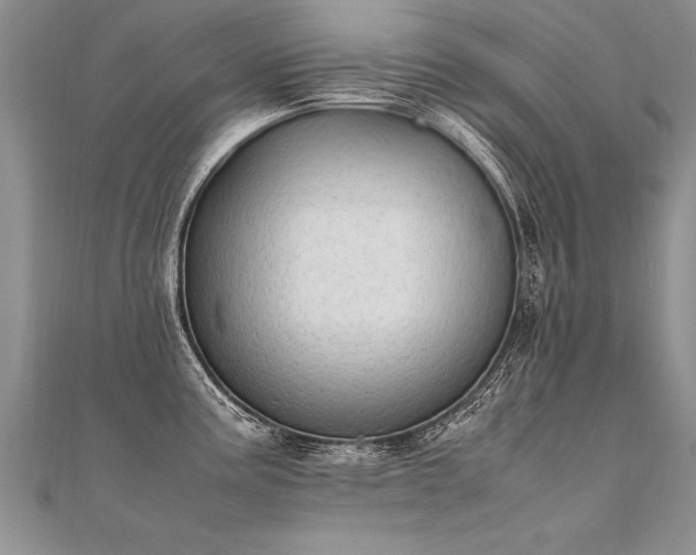 X0000112041195200908101354
