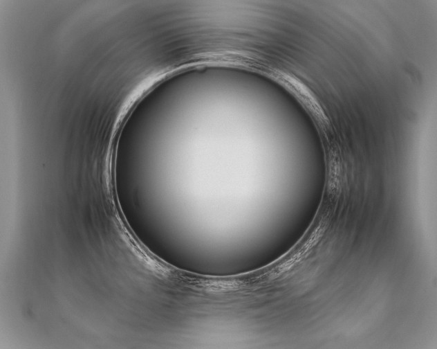 X0000112041196200908101354