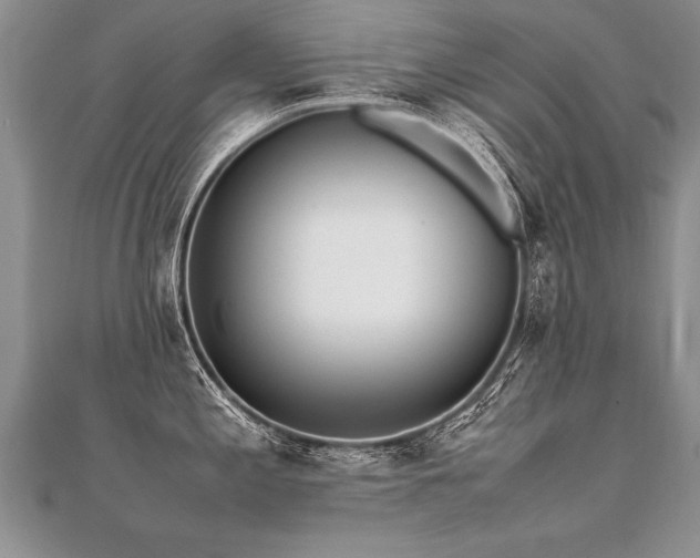 X0000112041197200908101354