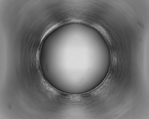 X0000112041198200908101354
