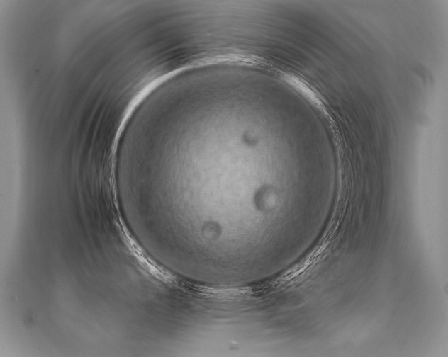 X0000112041200200908101354
