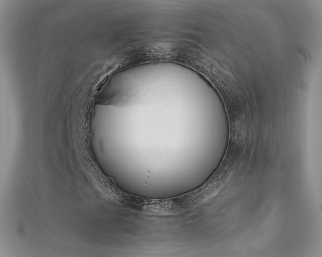 X0000112041201200908101353