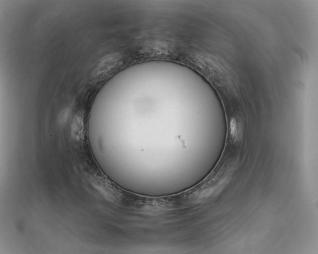 X0000112041203200908101353