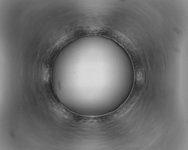 X0000112041204200908101353