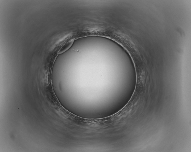 X0000112041205200908101353