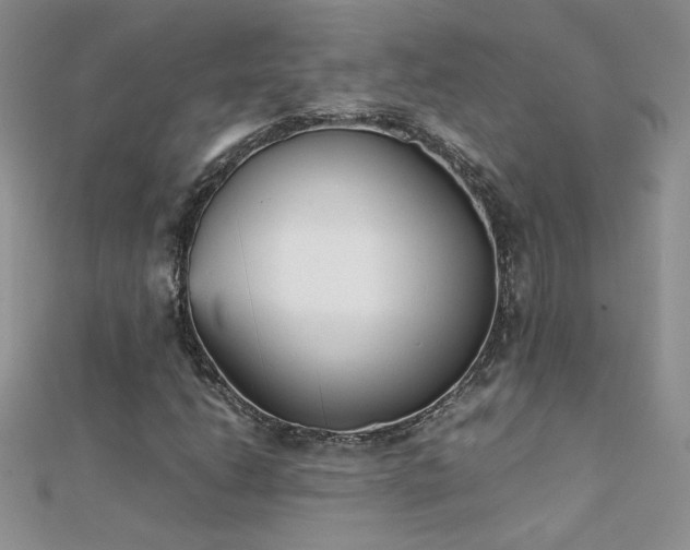 X0000112041206200908101353