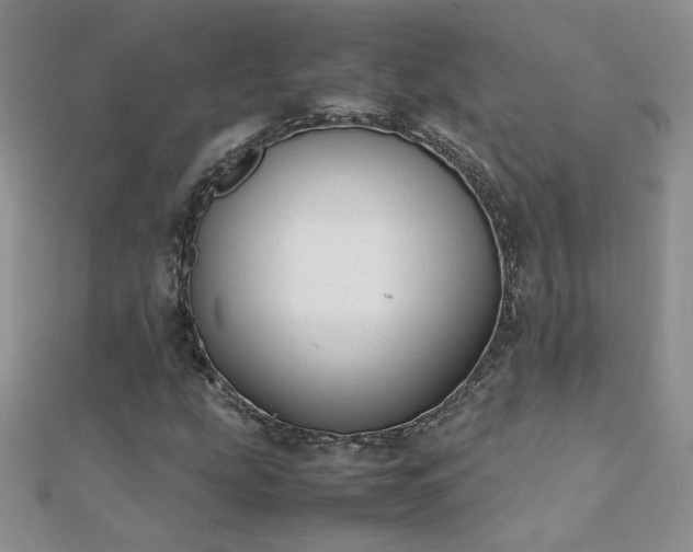 X0000112041207200908101353