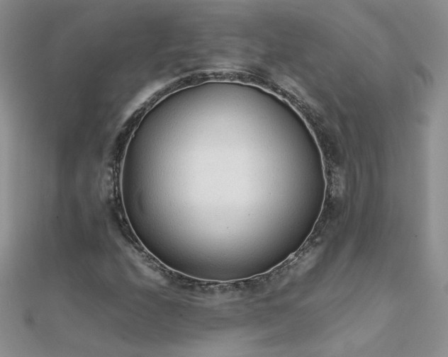 X0000112041208200908101353