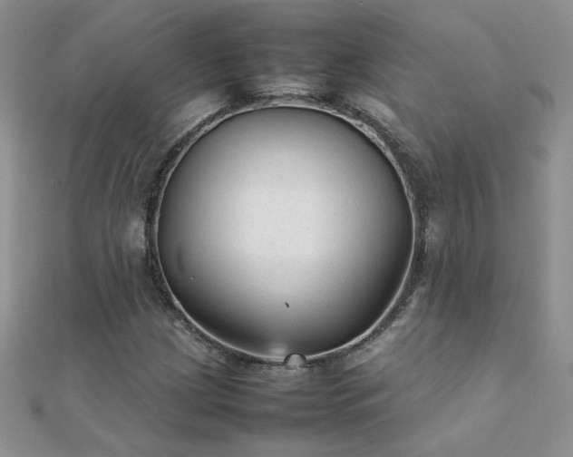 X0000112041209200908101353