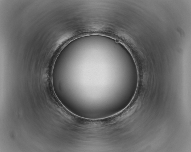 X0000112041210200908101353