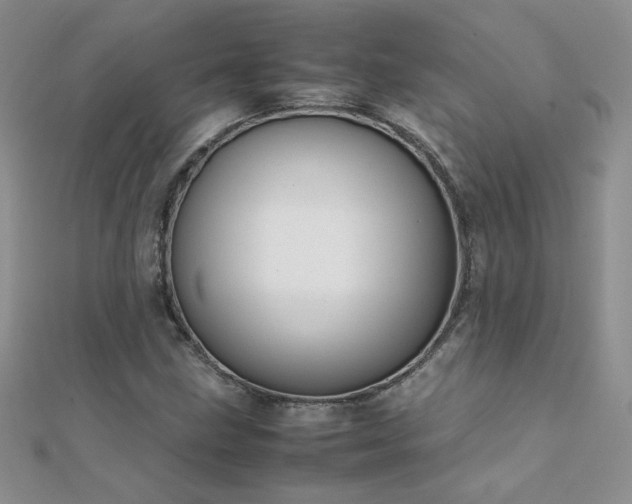 X0000112041211200908101353
