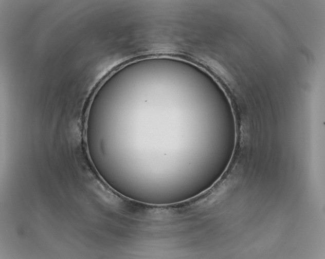 X0000112041212200908101353