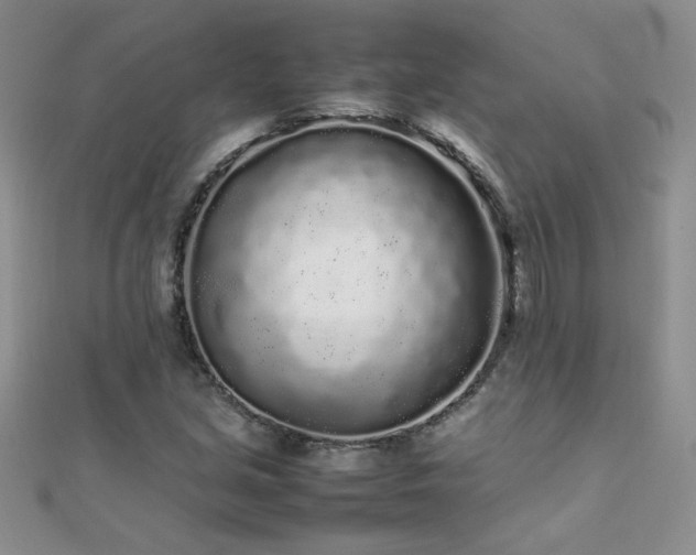 X0000112041213200908101353