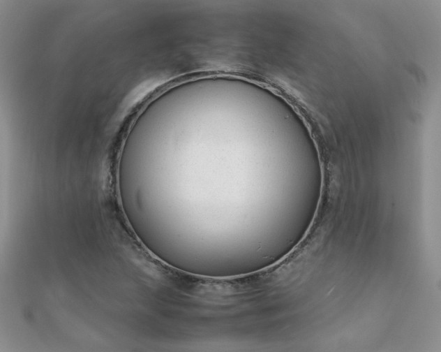 X0000112041215200908101354