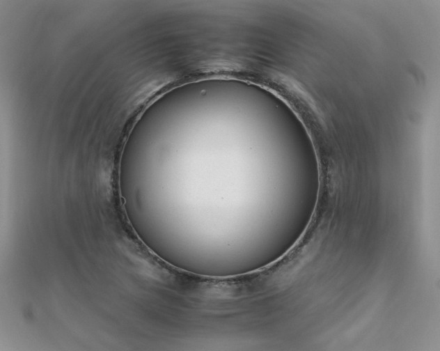 X0000112041217200908101354