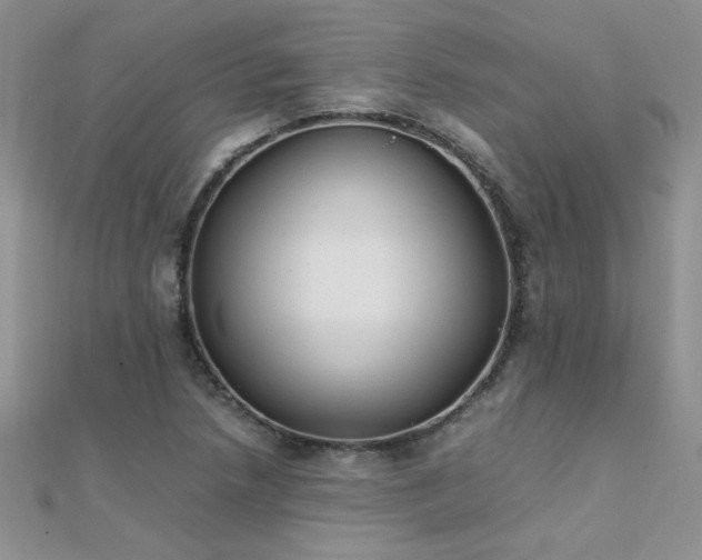 X0000112041218200908101354