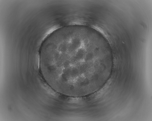 X0000112041219200908101354