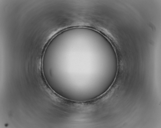 X0000112041220200908101354