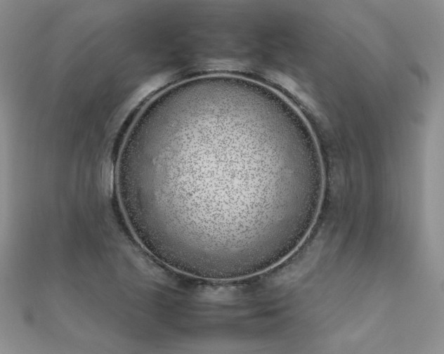 X0000112041221200908101354