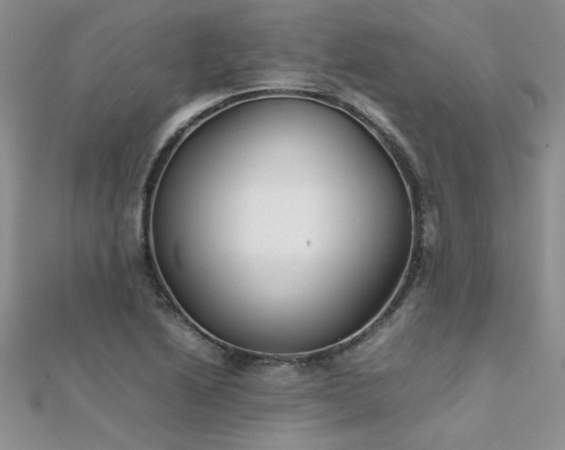 X0000112041222200908101354