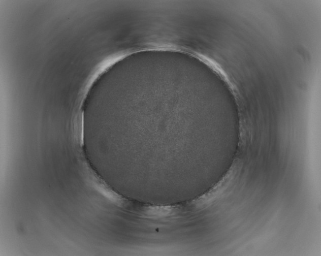 X0000112041223200908101354