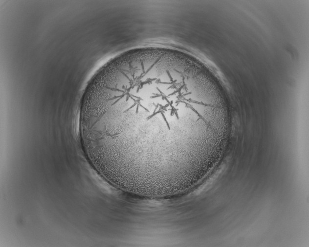 X0000112041224200908101354