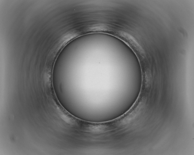 X0000112041225200908101354