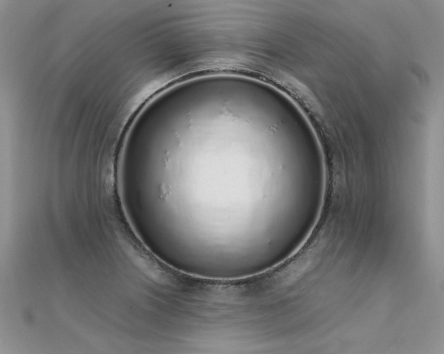X0000112041226200908101354