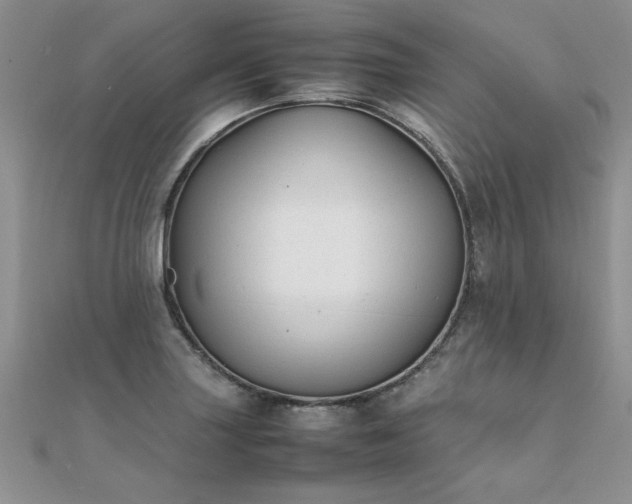 X0000112041227200908101354
