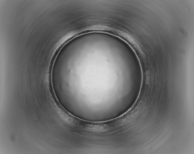 X0000112041229200908101354
