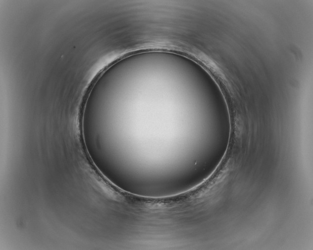 X0000112041230200908101354