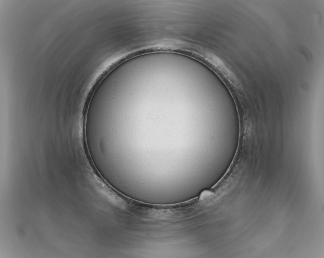 X0000112041232200908101354