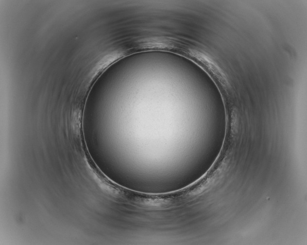 X0000112041233200908101354