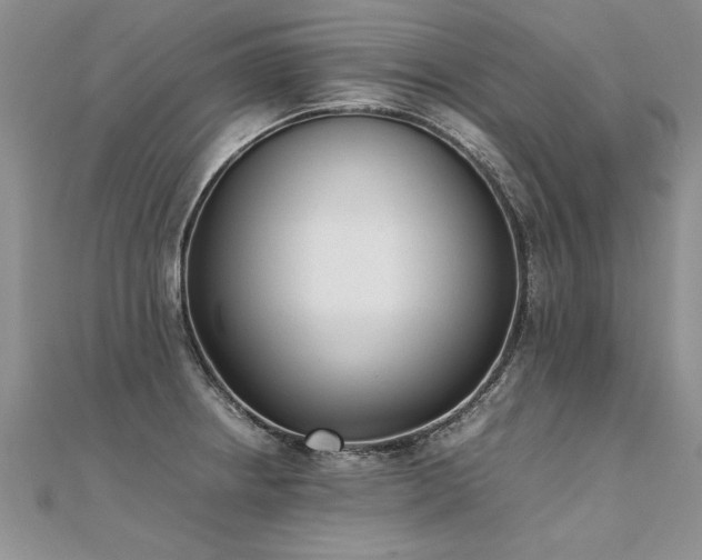 X0000112041234200908101354