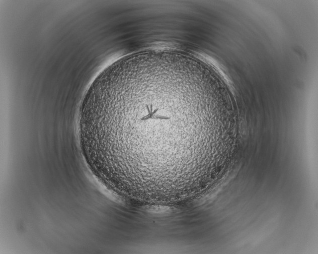 X0000112041235200908101354