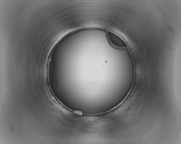 X0000112041236200908101354