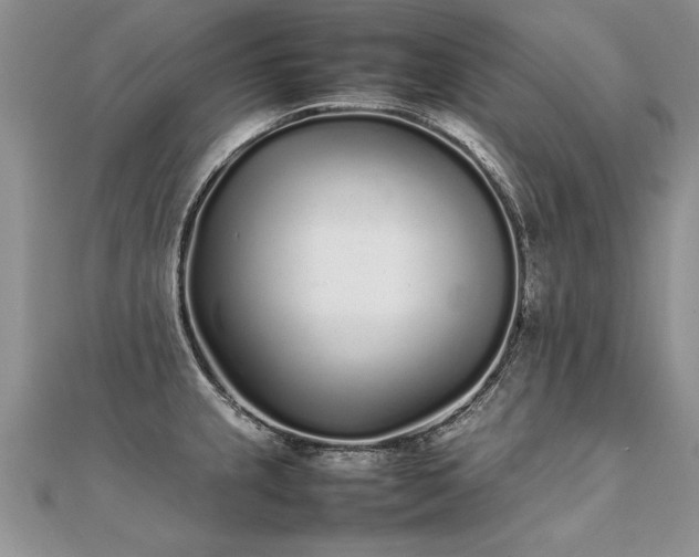 X0000112041237200908101354