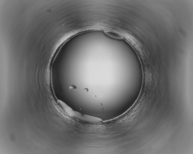 X0000112041238200908101354