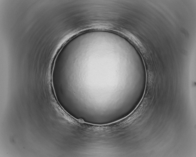 X0000112041240200908101354