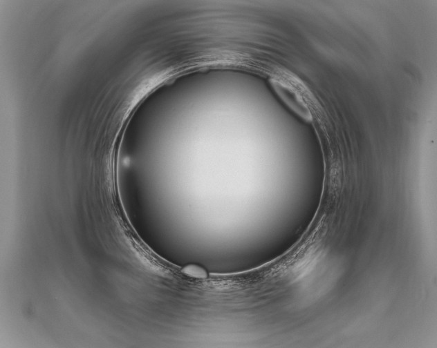 X0000112041242200908101354