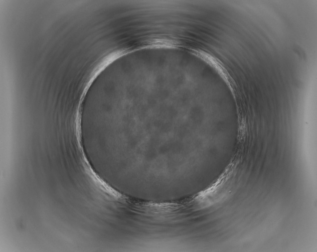 X0000112041243200908101354