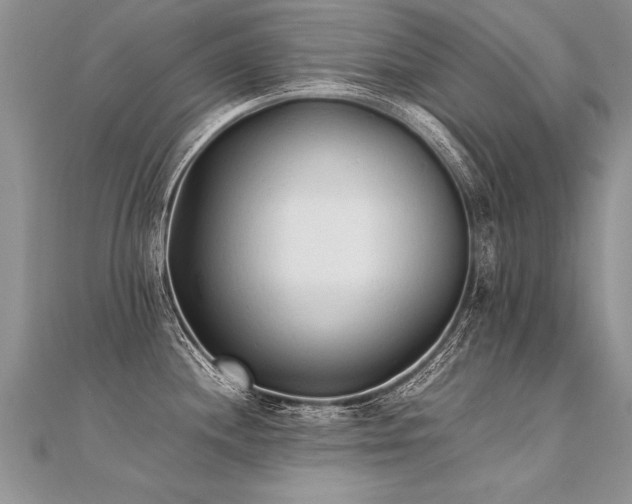 X0000112041244200908101354