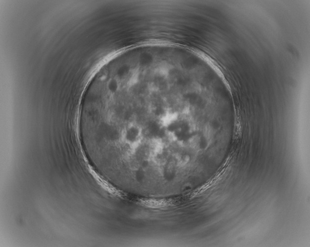 X0000112041245200908101354