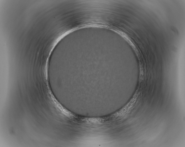 X0000112041246200908101354