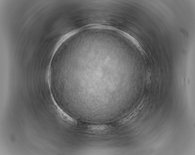 X0000112041247200908101354