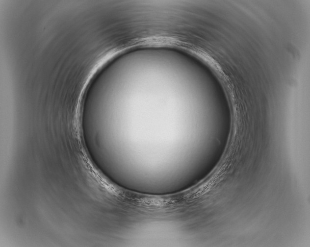 X0000112041248200908101354